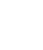 TikTok Partner